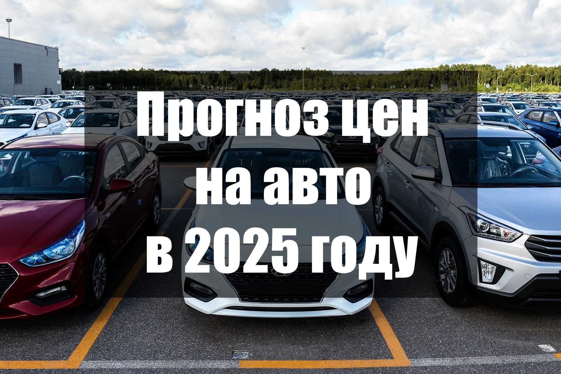      2025 	